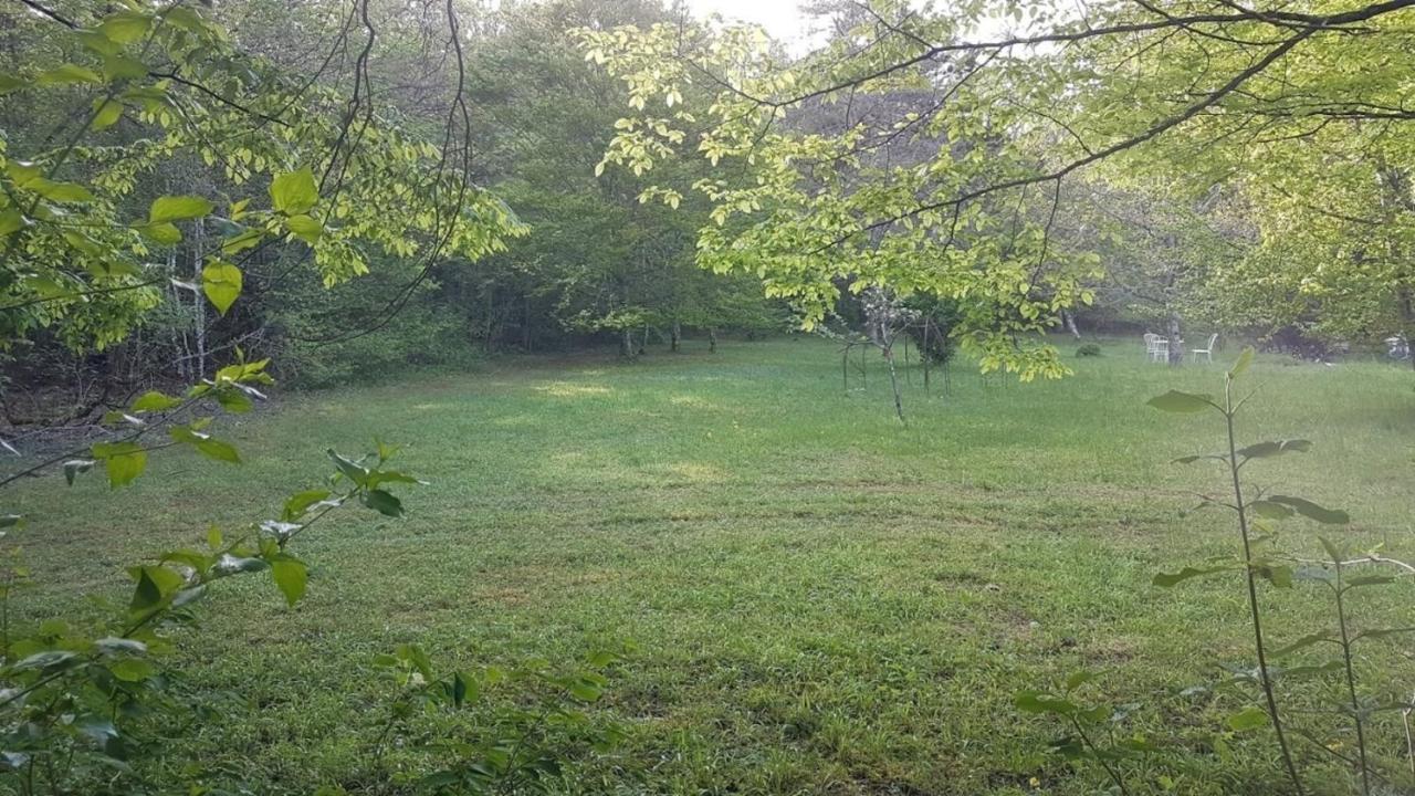 Lovely 2-Bed Shepherds Hut In A Forest Sougeres-en-Puisaye Ngoại thất bức ảnh